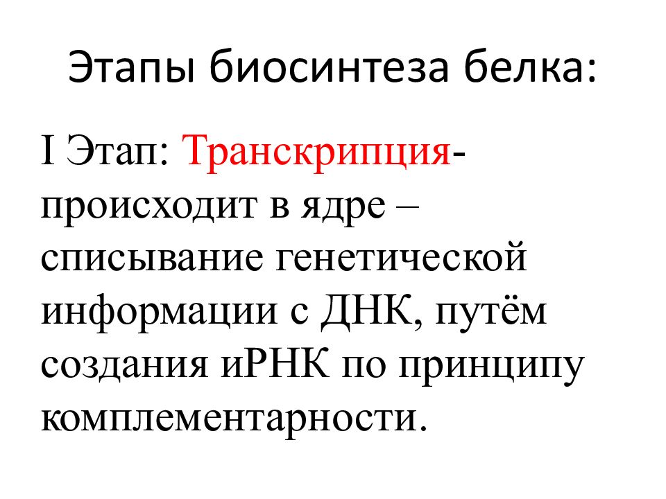 Презентация биосинтез белка 11 класс