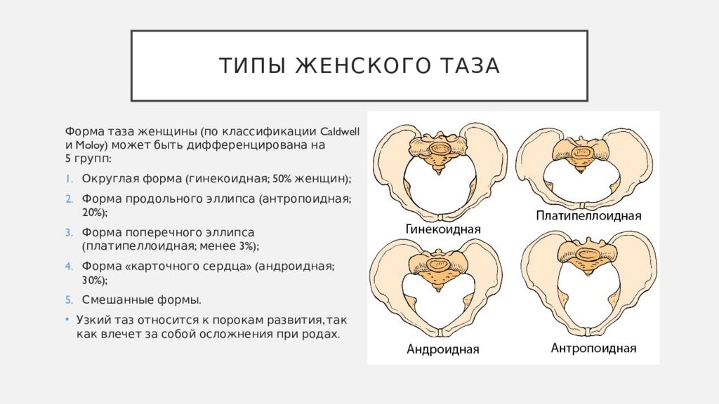 Когда пополнится пушкинская карта в 2023