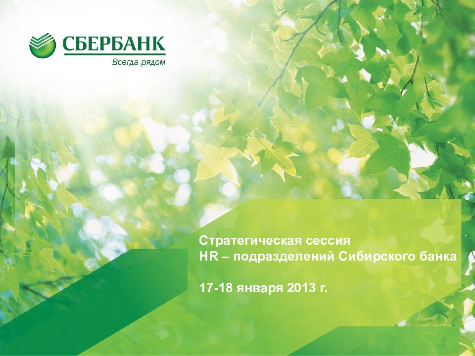 Стратегическая сессия HR – подразделений Сибирского банка 17-18 января 2013 г.