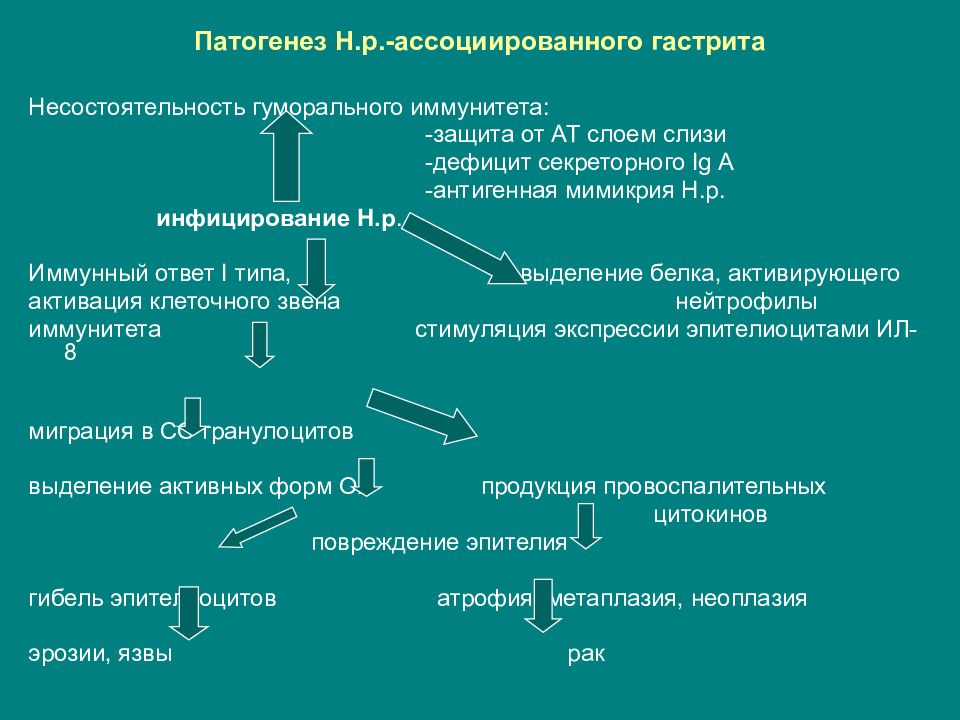 Патогенез язвенной болезни презентация