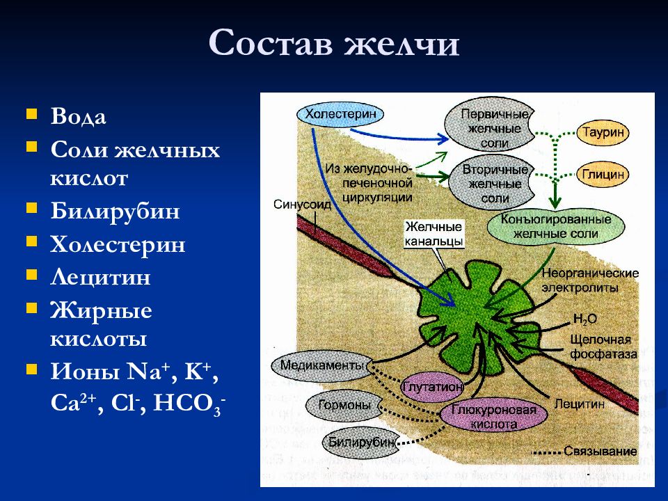 Желчь состав. Состав желчи. Состав желчи в желчном пузыре. Желчь состоит. Состав желчи физиология.