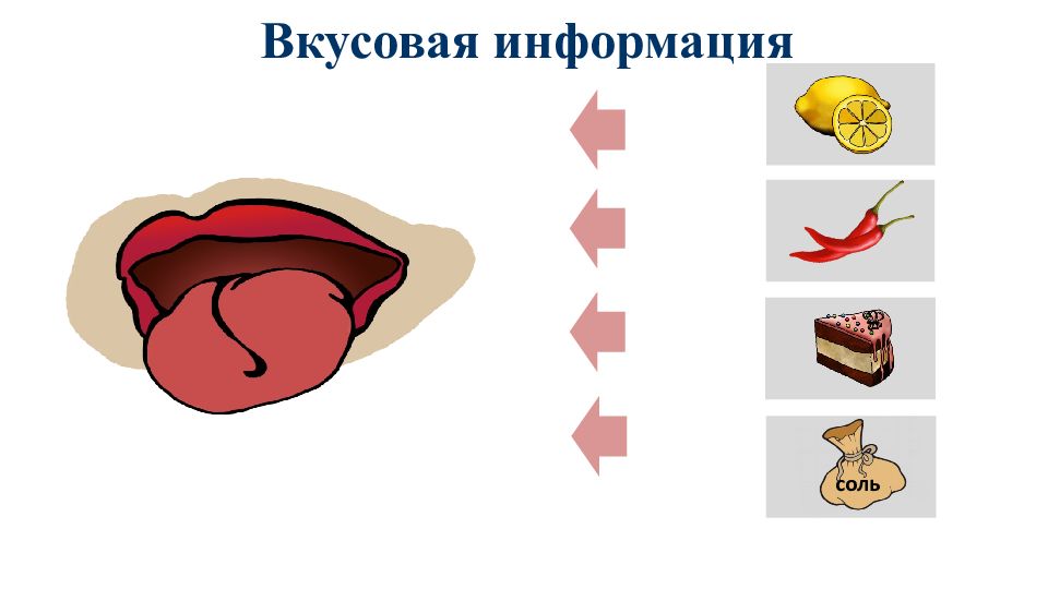 Вкусовая информация. Вкусовой вид информации. Вкусовое восприятие информации. Вкусовая информация примеры.