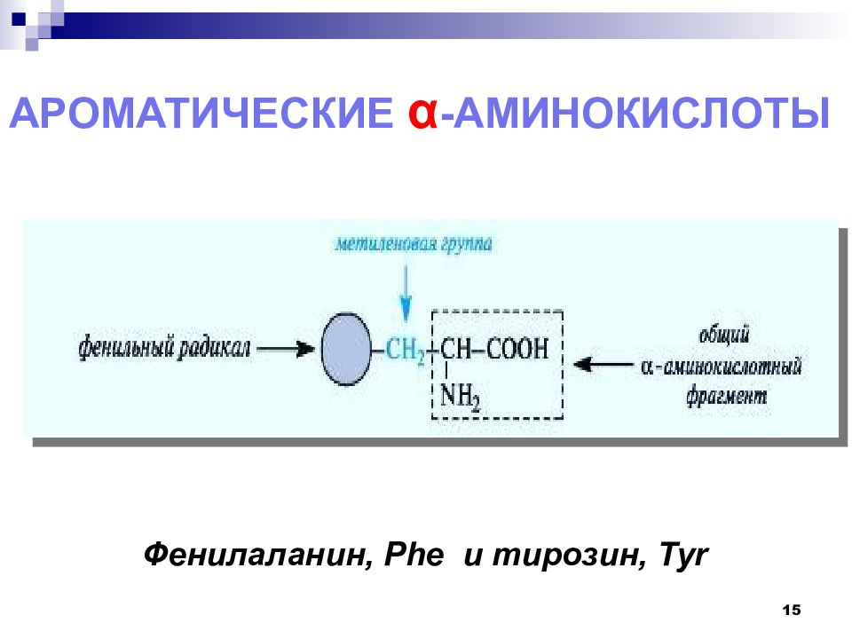 Метионил глутамил гистидил фенилаланил пролил. Ароматические аминокислоты. 10 Аминокислот. Обмен ароматических аминокислот. Метионил цистеил аргинил тирозин.