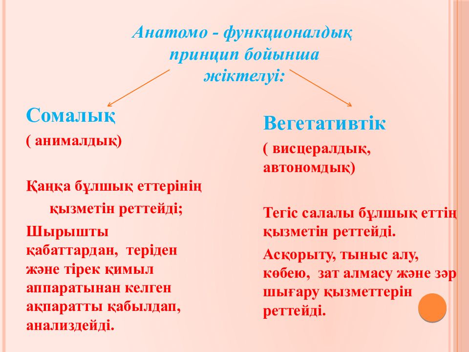 Жүйке жүйесі презентация