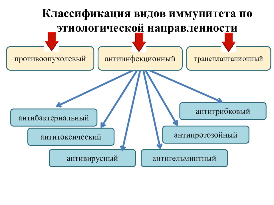 Иммунитет государства презентация