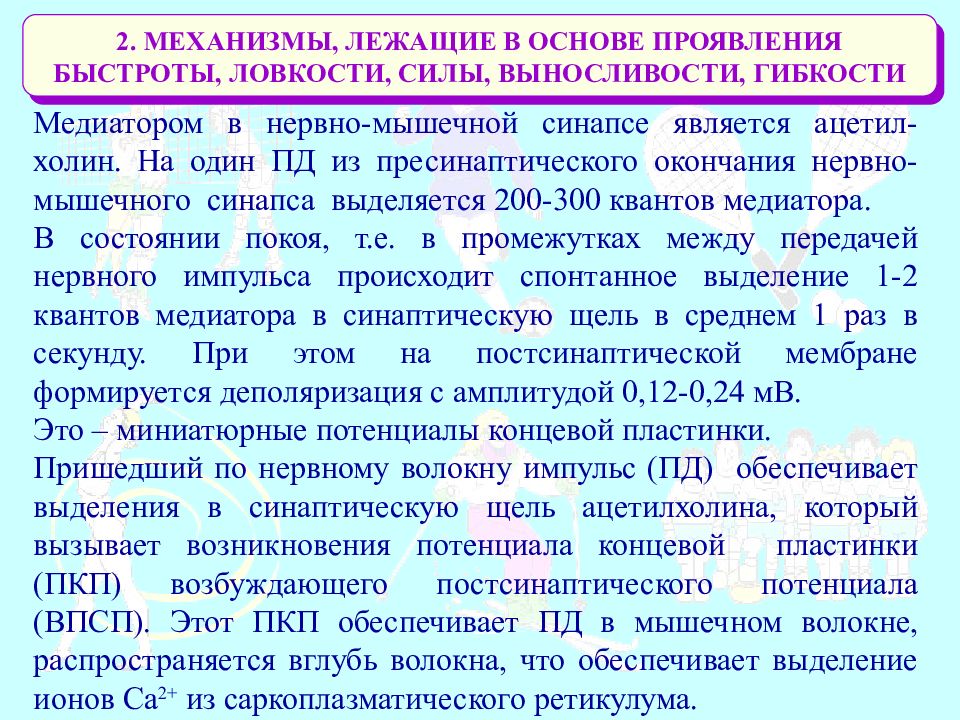 Физиологические основы мышечной силы. Физиологический механизм проявления быстроты. Способности физиологическая основа. Физиологические основы двигательных качеств.