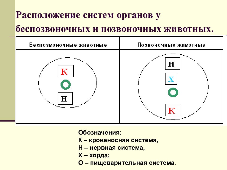 Система расположения