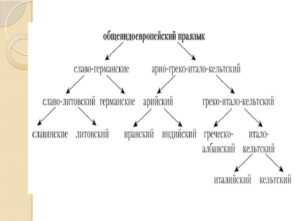 Август шлейхер презентация