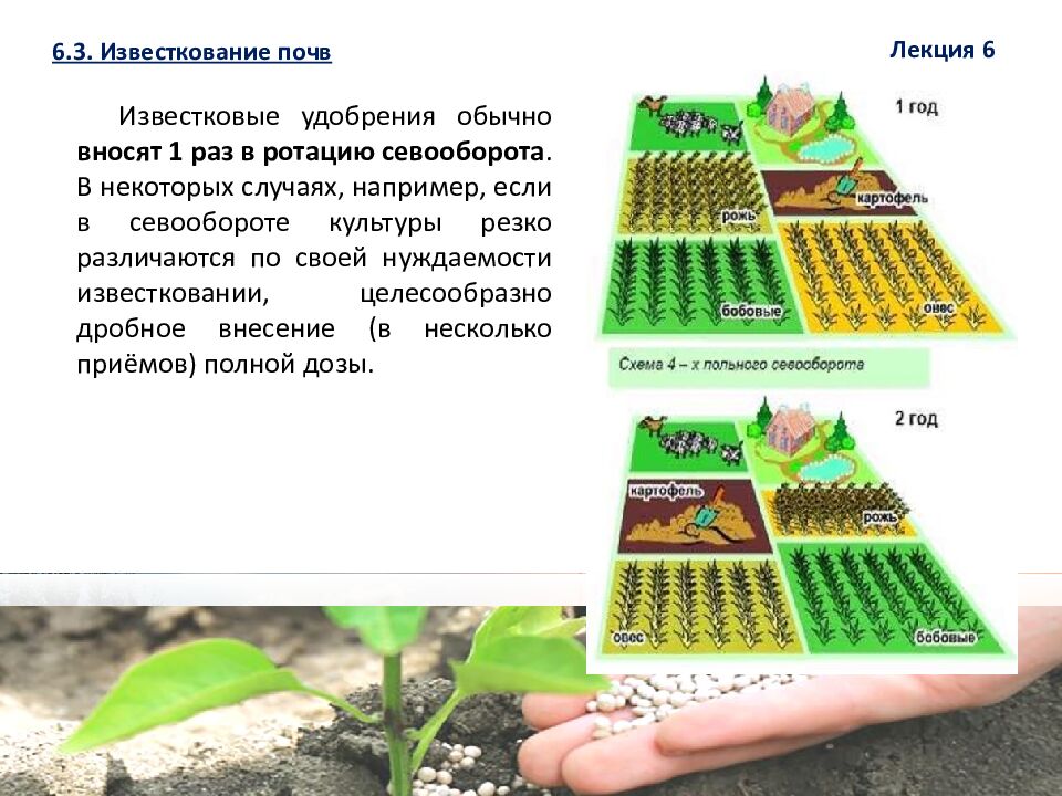 1 ЛЕКЦИЯ №6. Химическая мелиорация земель