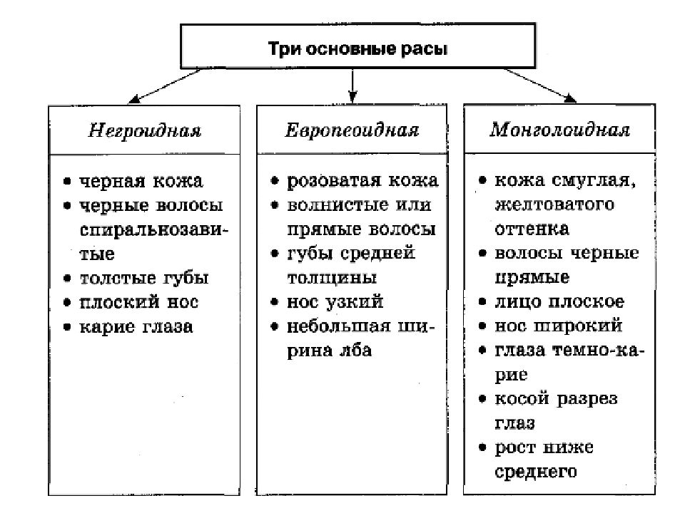 Представьте в виде схемы многообразие элементарных эволюционных факторов биология 9 класс