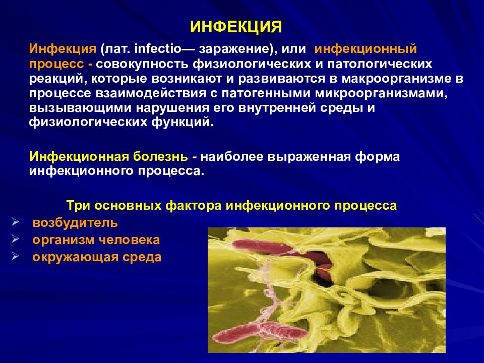 Патофизиология инфекционного процесса презентация