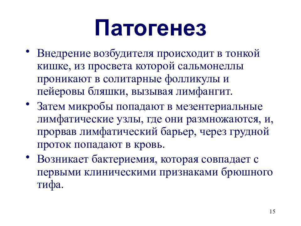 Патогенез брюшного тифа. Брюшной тиф клинические рекомендации. Лимфатический узел при брюшном тифе.