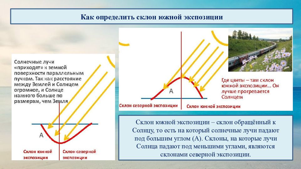 Южная экспозиция это. Склон Южной экспозиции как определить. Южная экспозиция склона это. Склон Северной и Южной экспозиции. Южный склон как определить.