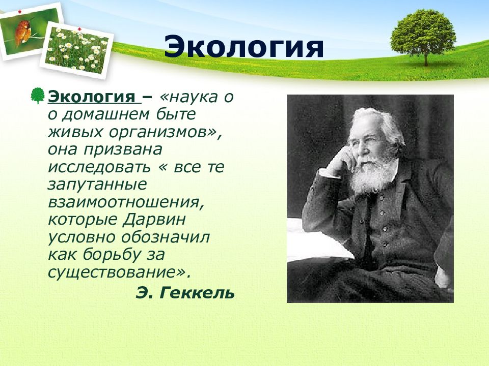 Наука экология значение. Экология это наука. Экология как наука презентация. Дарвин экология. История экологии как науки.