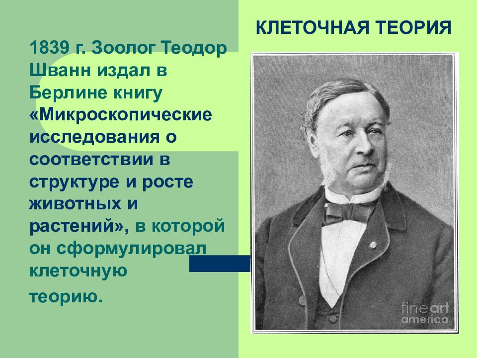 Клеточная теория шванна. Теодор Шванн зоолог. Теодор Шванн 1839. Теодор Шванн клеточная теория. Теодор Шванн издал.