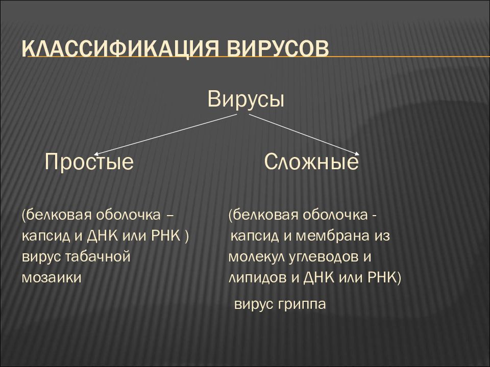 Сложные вирусы. Классификация вирусов простые и сложные. Простые и сложные вирусы. Простые и сложные вирусы примеры. Простые и сложные вирусы отличия.