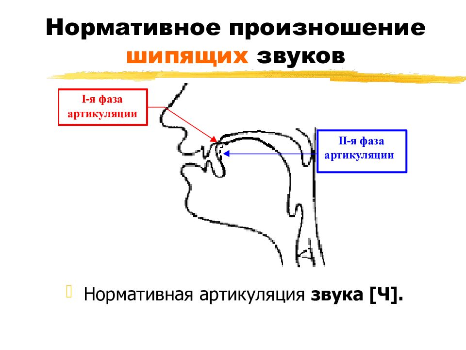 Уточнение артикуляции звуков в слуховом и произносительном плане