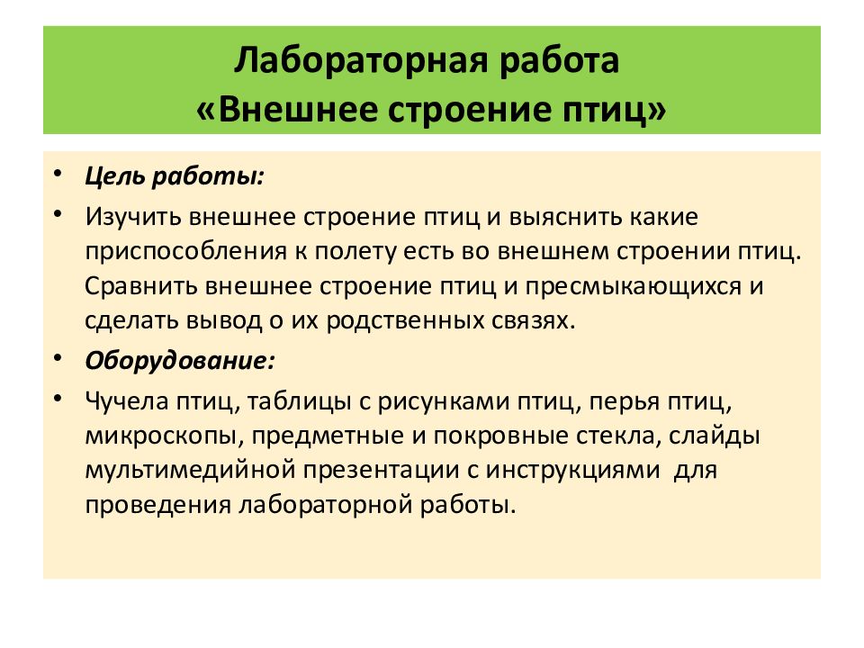 Лабораторная работа внешнее строение птицы 8 класс. Лабораторная работа внешнее строение птиц. презентация лабораторная работа внешнее строение птиц. лабораторная работа внешная строения птицы. вывод о внешнем строении птиц.