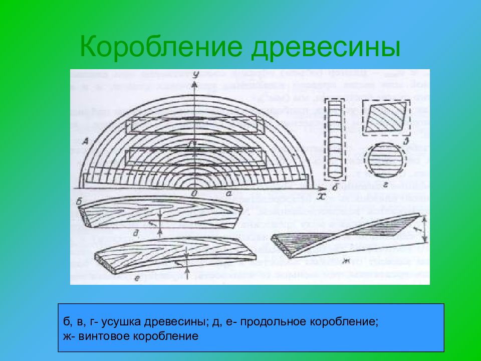 Рисунок на поверхности древесины образованный в результате перерезания годичных колец и волокон