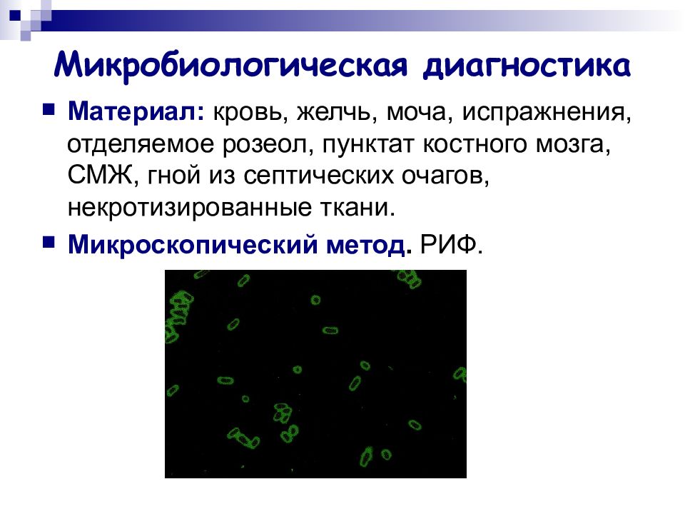 Возбудители кишечных инфекций микробиология презентация