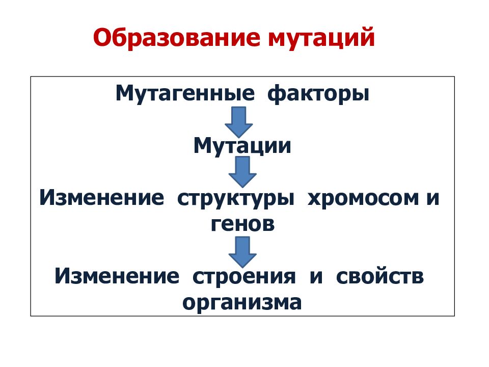 Свойства мутаций. Мутационные факторы. Формирование мутаций. Мутагенные факторы изменчивости. Мутационные факторы таблица.