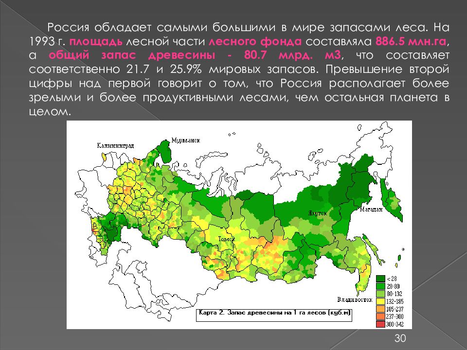Леса половина территории россии
