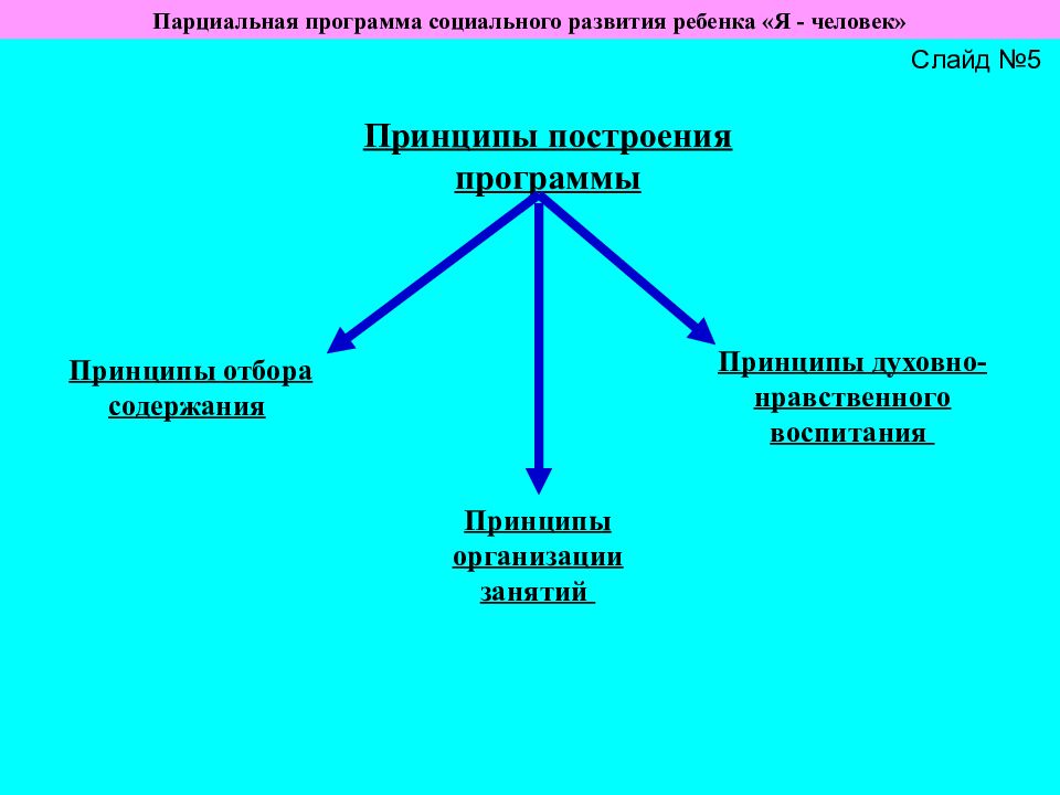 Парциальная программа включает. Программа социального развития. Принципы программы развитие. Парциальная программа духовно-нравственного воспитания детей. Парциальная программа я человек.