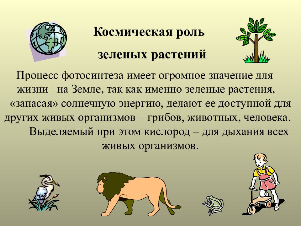 Космическая роль зеленых. Космическая роль растений. Космическая роль зеленых растений. Космичекская роль зелёных растений. Космическая роль зеленых растений в природе.