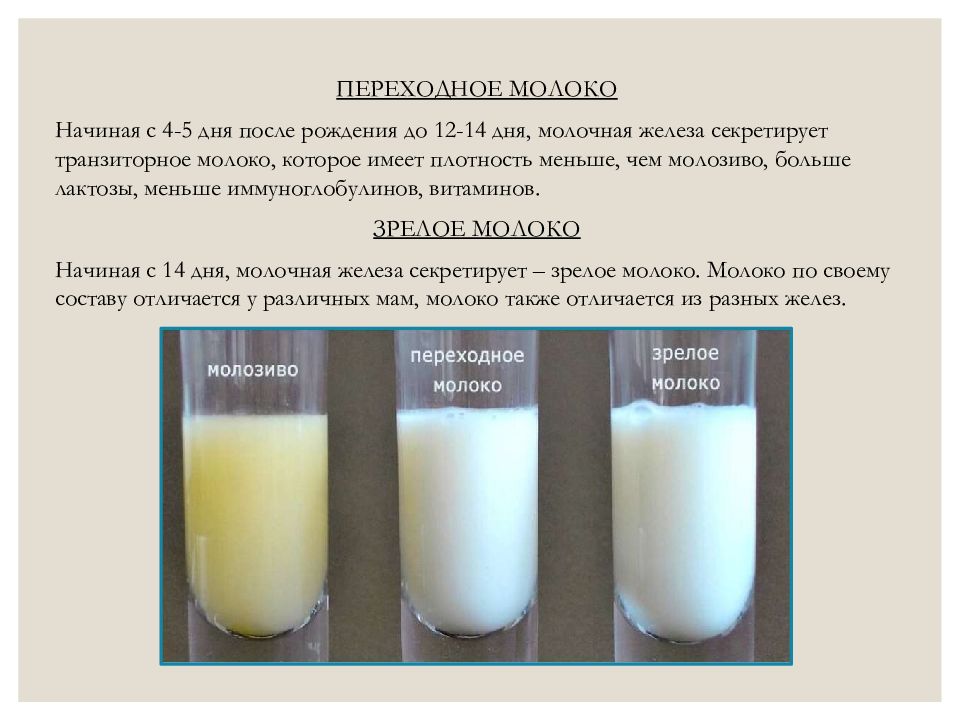 Почему молочный. Переходное молоко. Молозиво и молоко. Переходное грудное молоко. Молозиво переходное молоко и молоко.