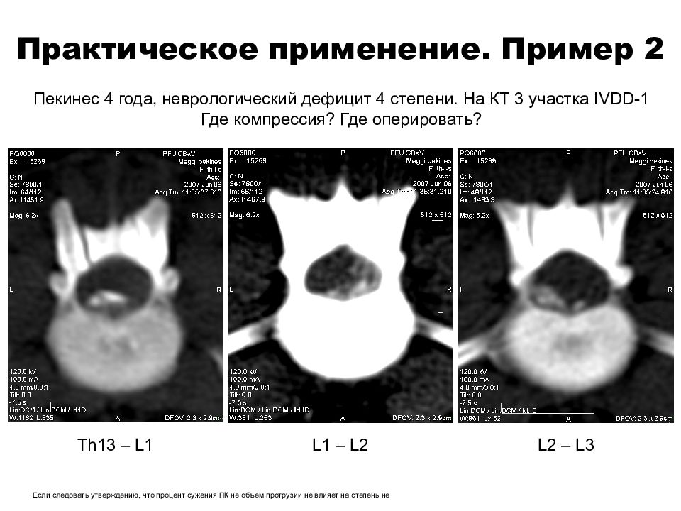 Неврологический дефицит у собак