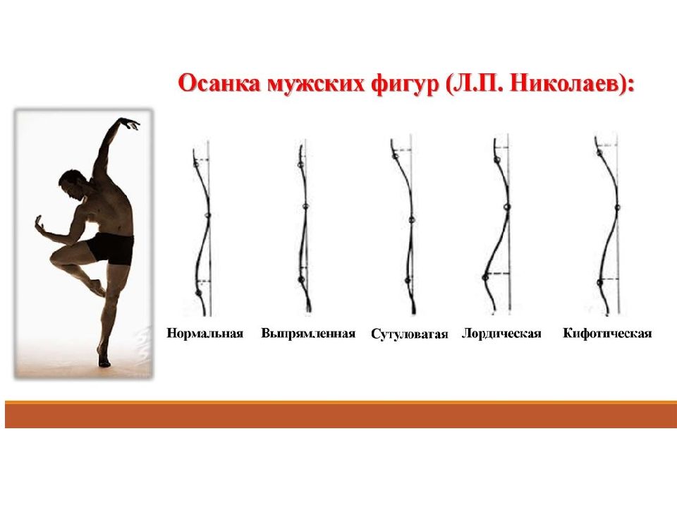 Фигура л. Сутуловатая осанка. Типы осанки фигуры. Осанка мужской фигуры. Осанка и Телосложение.