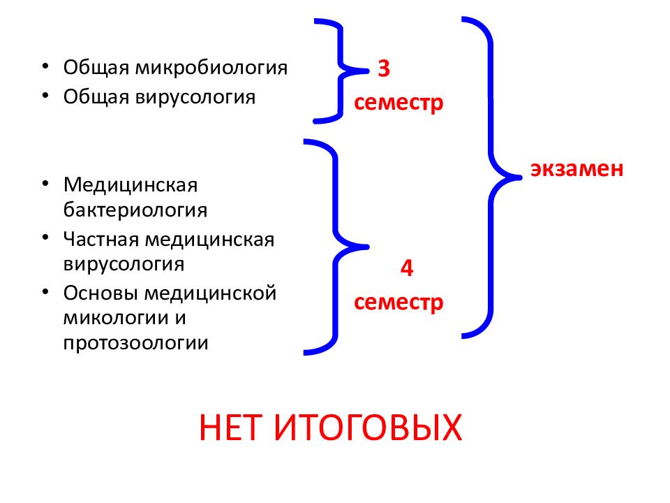 Презентация общая микробиология