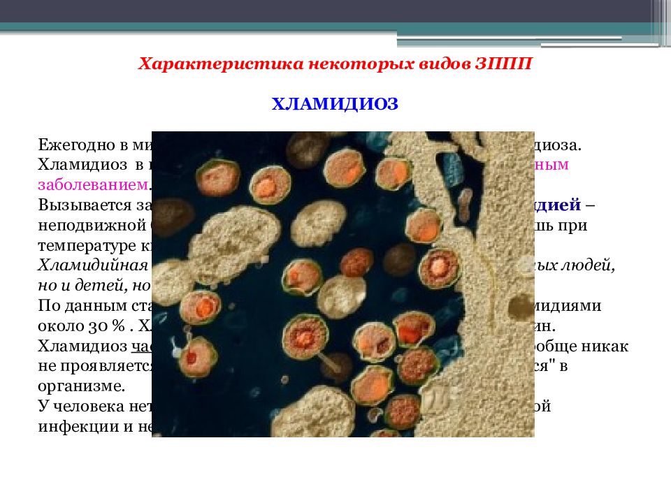 Презентация на тему зппп