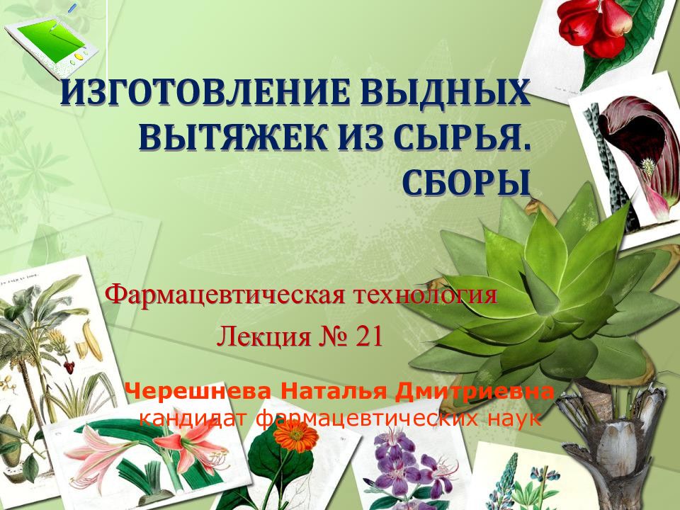 ИЗГОТОВЛЕНИЕ ВЫДНЫХ ВЫТЯЖЕК ИЗ СЫРЬЯ. СБОРЫ