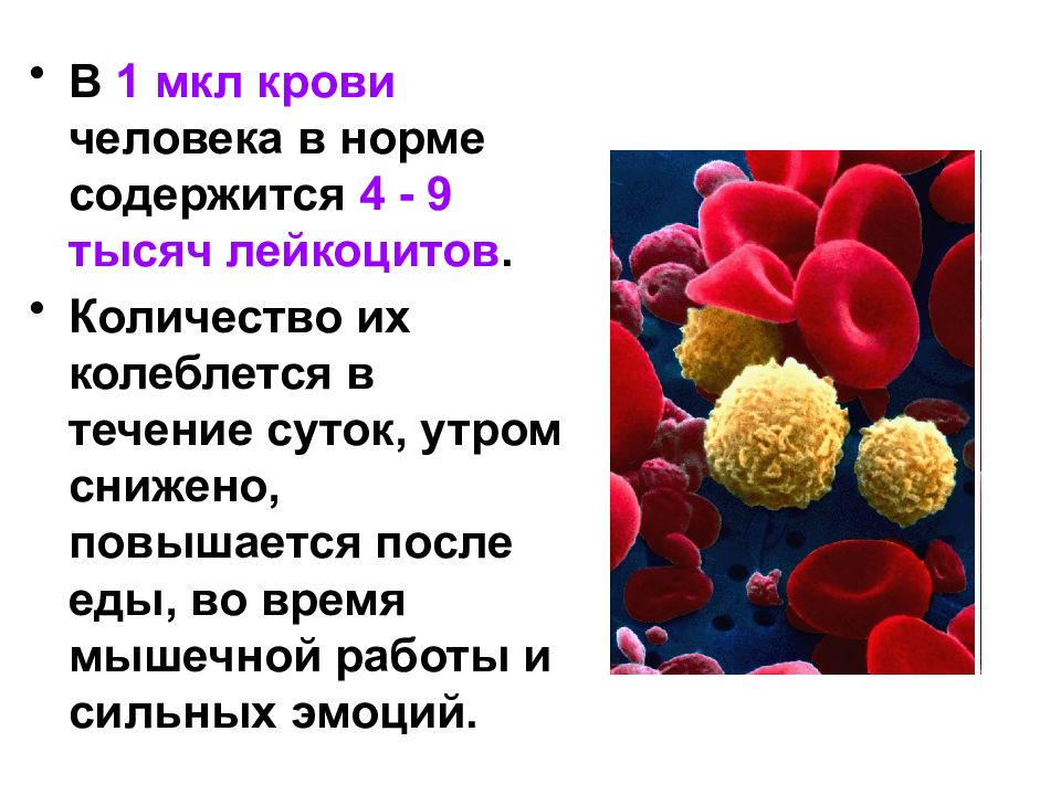 Кровь состав свойства и функции презентация