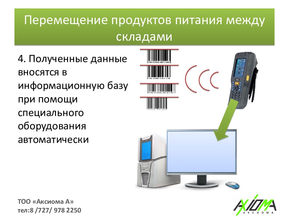 Информация внесена в отчет