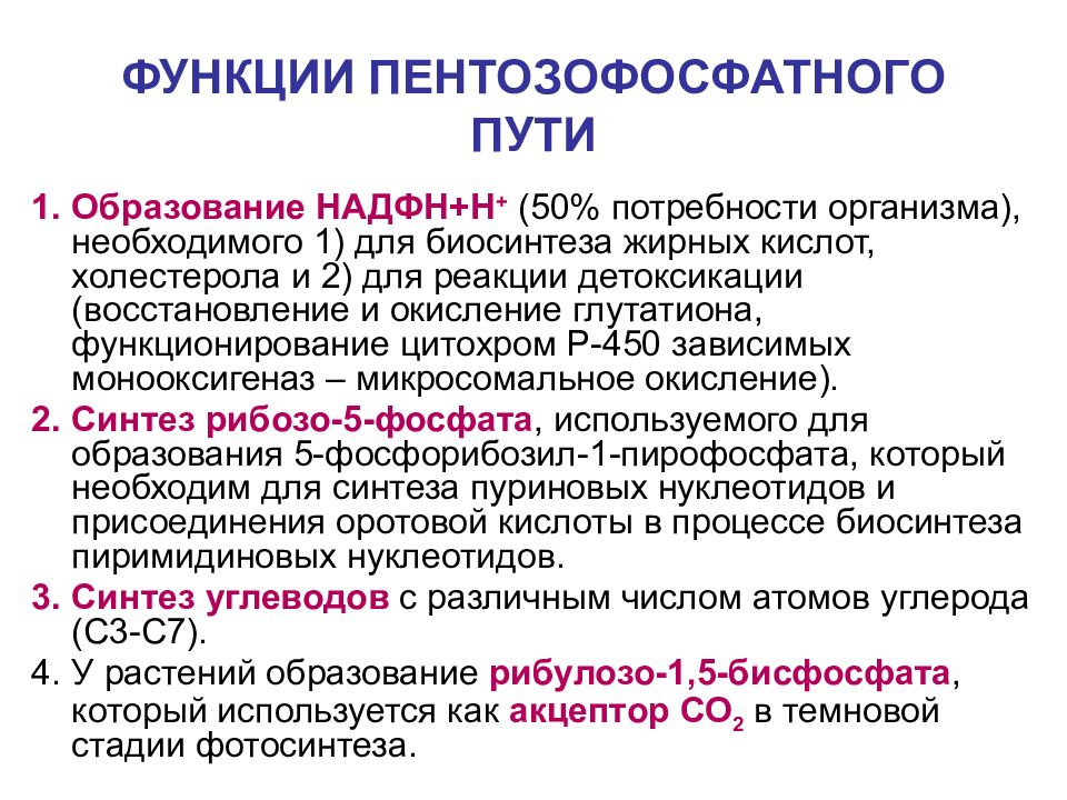 УГЛЕВОДЫ: функции и обмен ФУНКЦИИ ПЕНТОЗОФОСФАТНОГО ПУТИ