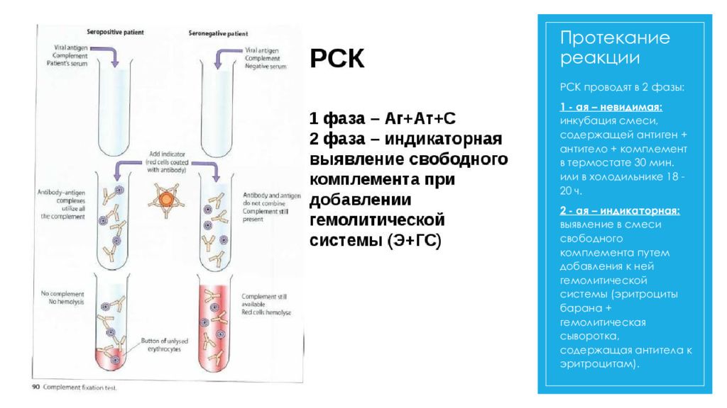 Схема постановки реакции связывания комплемента рск