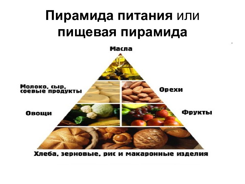 Презентация физиология питания 6 класс технология кулинария