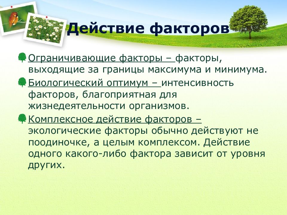 Экология как наука презентация 11 класс