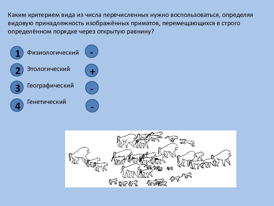 1 2 4 география. Каким критерием вида из числа перечисленных нужно воспользоваться. Этологический критерий собаки. Этологический критерий вида собака. Определите видовую принадлежность.