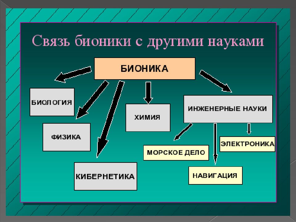 Бионика как одно из направлений биологии и кибернетики презентация