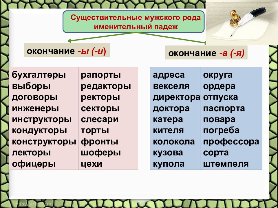 Схема во множественном числе