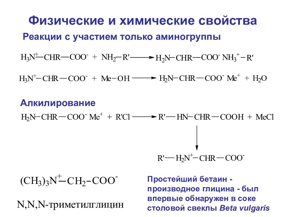 Физические химические свойства и получение аминов. Реакция алкилирования аминокислот. Алкилирование аминокислот. Алкилирование аминокислоты глицина. Взаимодействие аминокислот с галогеналканами.