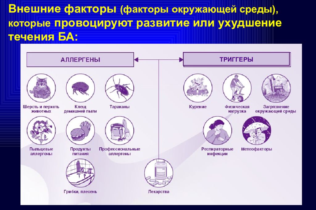 Картинки триггеры бронхиальной астмы