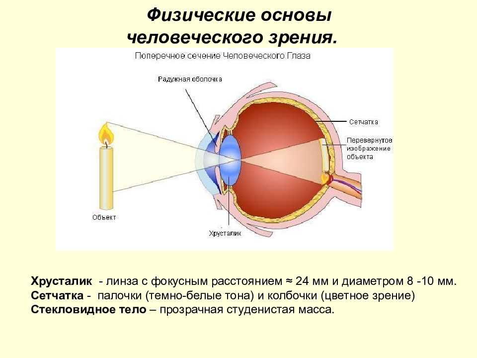 Оптика хрусталик