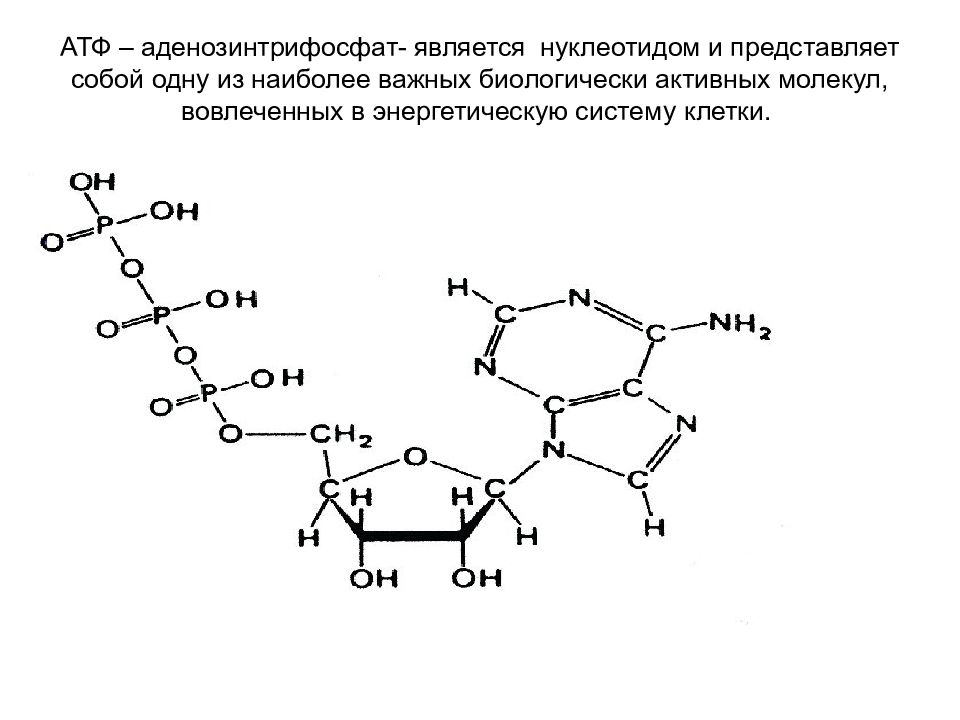 Атф структурная. Аденозинтрифосфорная кислота формула. АТФ формула структурная. Дезокси аденозинтрифосфат.