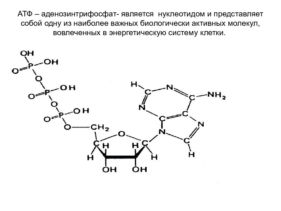 Углеводы липиды нуклеиновые кислоты атф. АТФ аденозинтрифосфорная кислота. Аденозинтрифосфорная кислота формула. Структурная формула АТФ. Формула молекулы аденозинтрифосфорной кислоты.