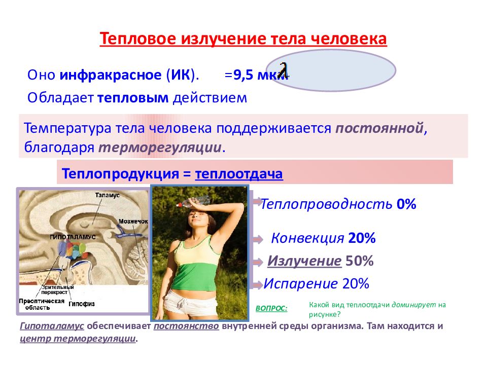 Инфракрасное излучение на организм. Излучение тела человека. Тепловое излучение человека. Тепловое излучение человеческого тела. Мощность теплового излучения человека.