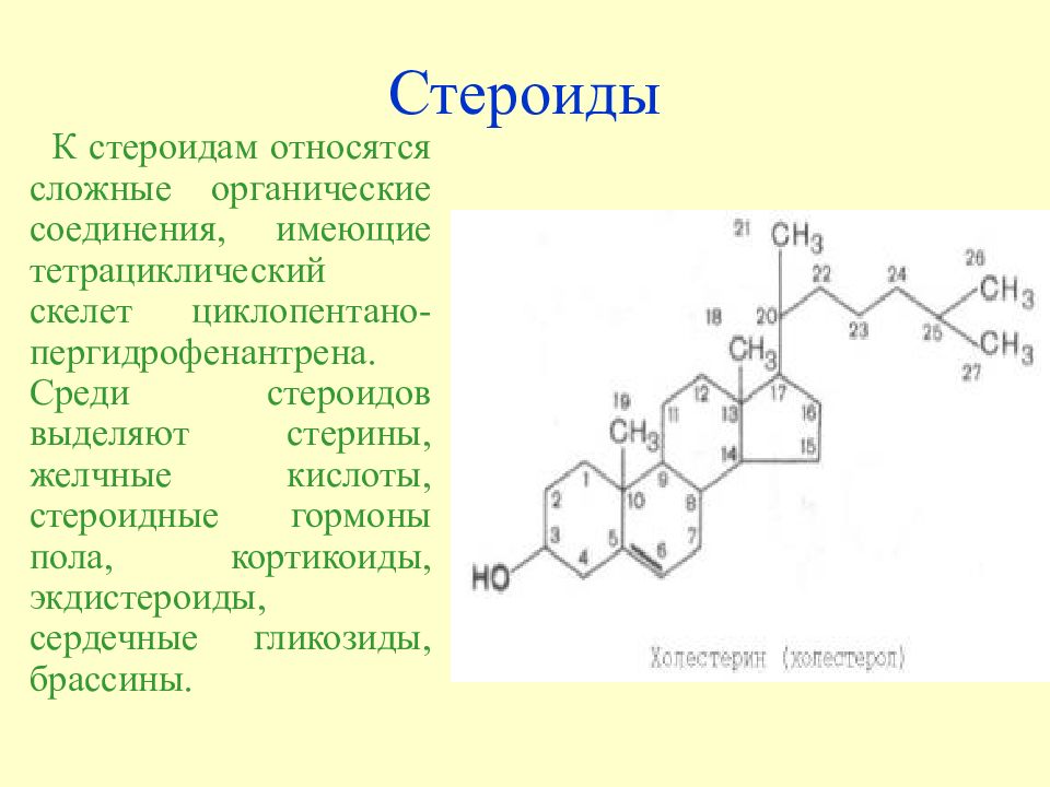 Презентация по химии стероиды